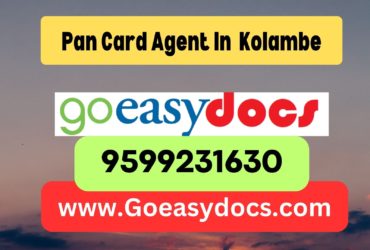 Pan Card Agent Consultant in Kolambe 8851415812