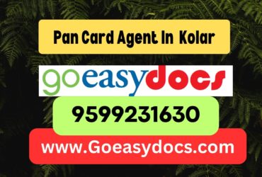 Pan Card Agent Consultant in Kolar 8851415812