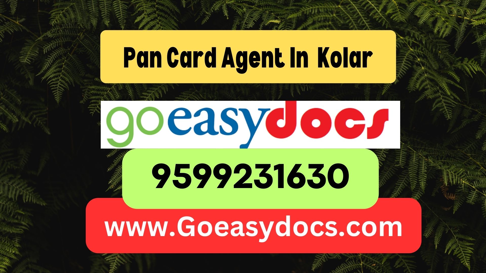 Pan Card Agent Consultant in Kolar 8851415812