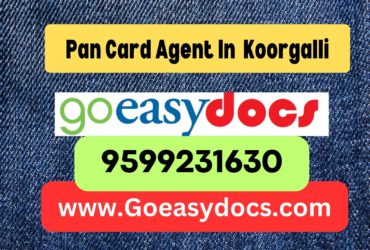 Pan Card Agent Consultant in Koorgalli 8851415812