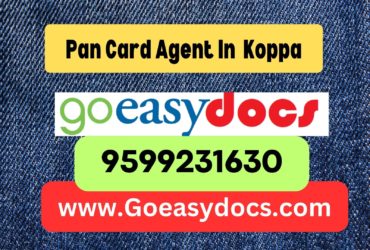 Pan Card Agent Consultant in Koppa 8851415812