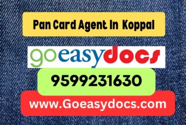 Pan Card Agent Consultant in Koppal 8851415812