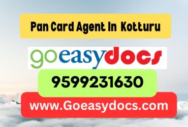 Pan Card Agent Consultant in Kotturu 8851415812