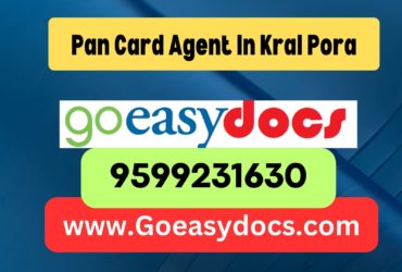 Pan Card Agent Consultant in Kral Pora 8851415812