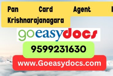 Pan Card Agent Consultant in Krishnarajanagara 8851415812