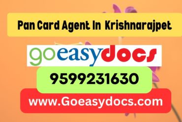 Pan Card Agent Consultant in Krishnarajpet 8851415812