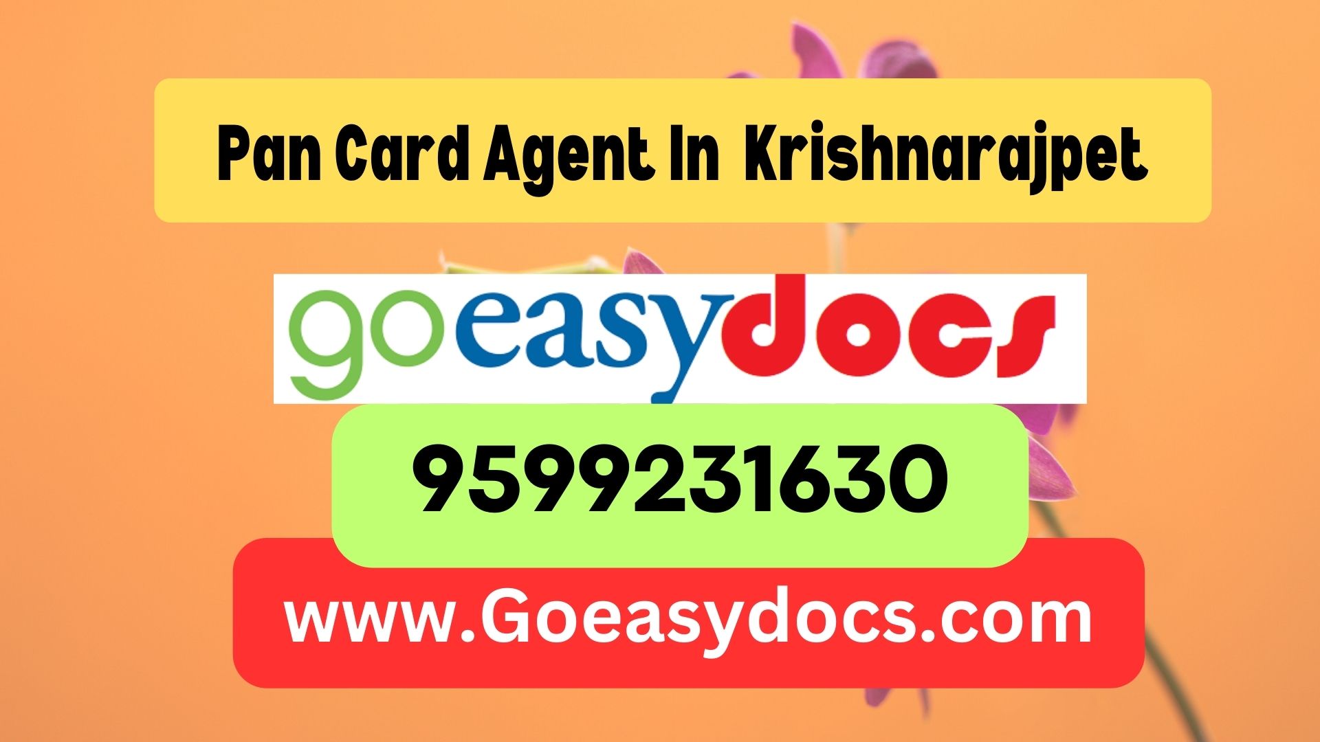 Pan Card Agent Consultant in Krishnarajpet 8851415812