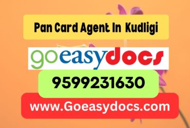 Pan Card Agent Consultant in Kudligi 8851415812