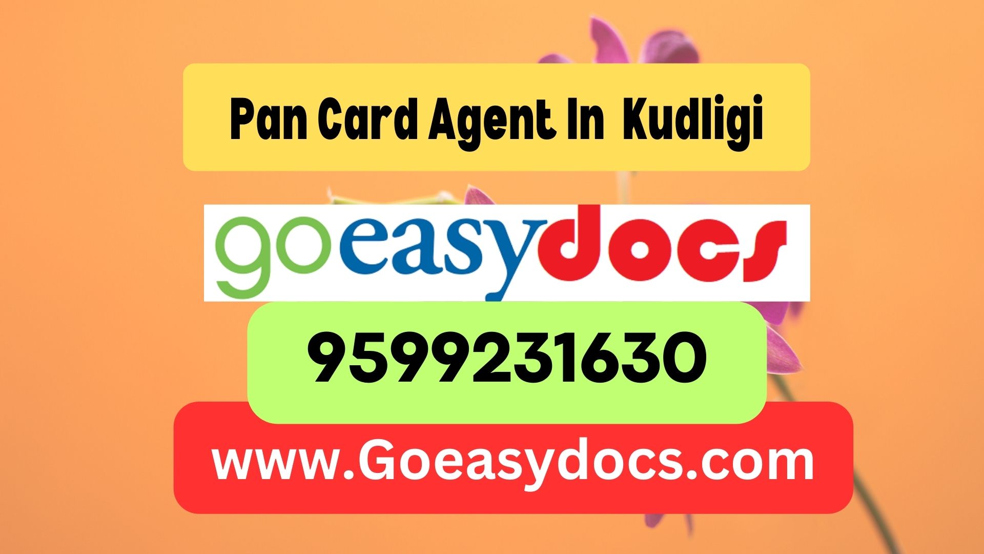 Pan Card Agent Consultant in Kudligi 8851415812