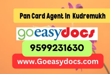 Pan Card Agent Consultant in Kudremukh 8851415812