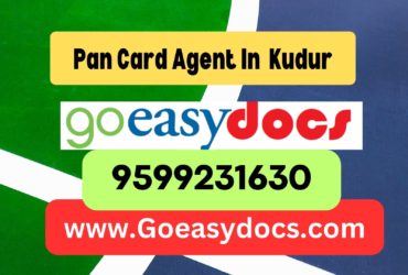 Pan Card Agent Consultant in Kudur 8851415812