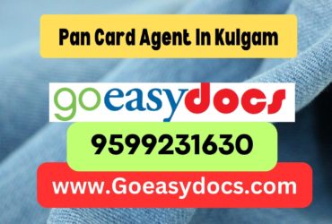 Pan Card Agent Consultant in Kulgam 8851415812