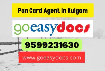 Pan Card Agent Consultant in Kulgam 8851415812