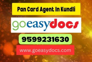 Pan Card Agent Consultant in Kundli 8851415812