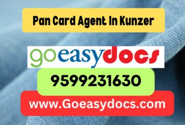 Pan Card Agent Consultant in Kunzer 8851415812