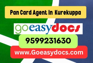 Pan Card Agent Consultant in Kurekuppa 8851415812