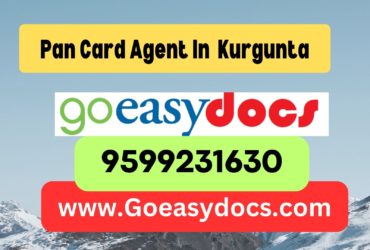 Pan Card Agent Consultant in Kurgunta 8851415812