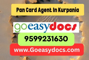 Pan Card Agent Consultant in Kurpania 8851415812