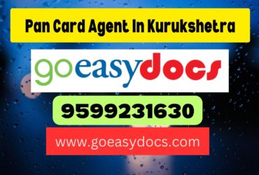 Pan Card Agent Consultant in Kurukshetra 8851415812