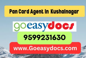 Pan Card Agent Consultant in Kushalnagar  8851415812