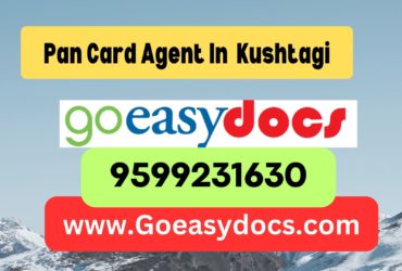 Pan Card Agent Consultant in Kushtagi 8851415812