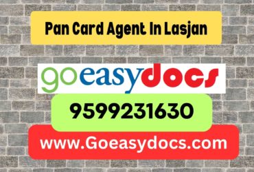 Pan Card Agent Consultant in Lasjan 8851415812