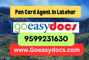 Pan Card Agent Consultant in Latehar 8851415812