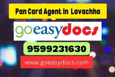 Pan Card Agent Consultant in Lavachha 8851415812