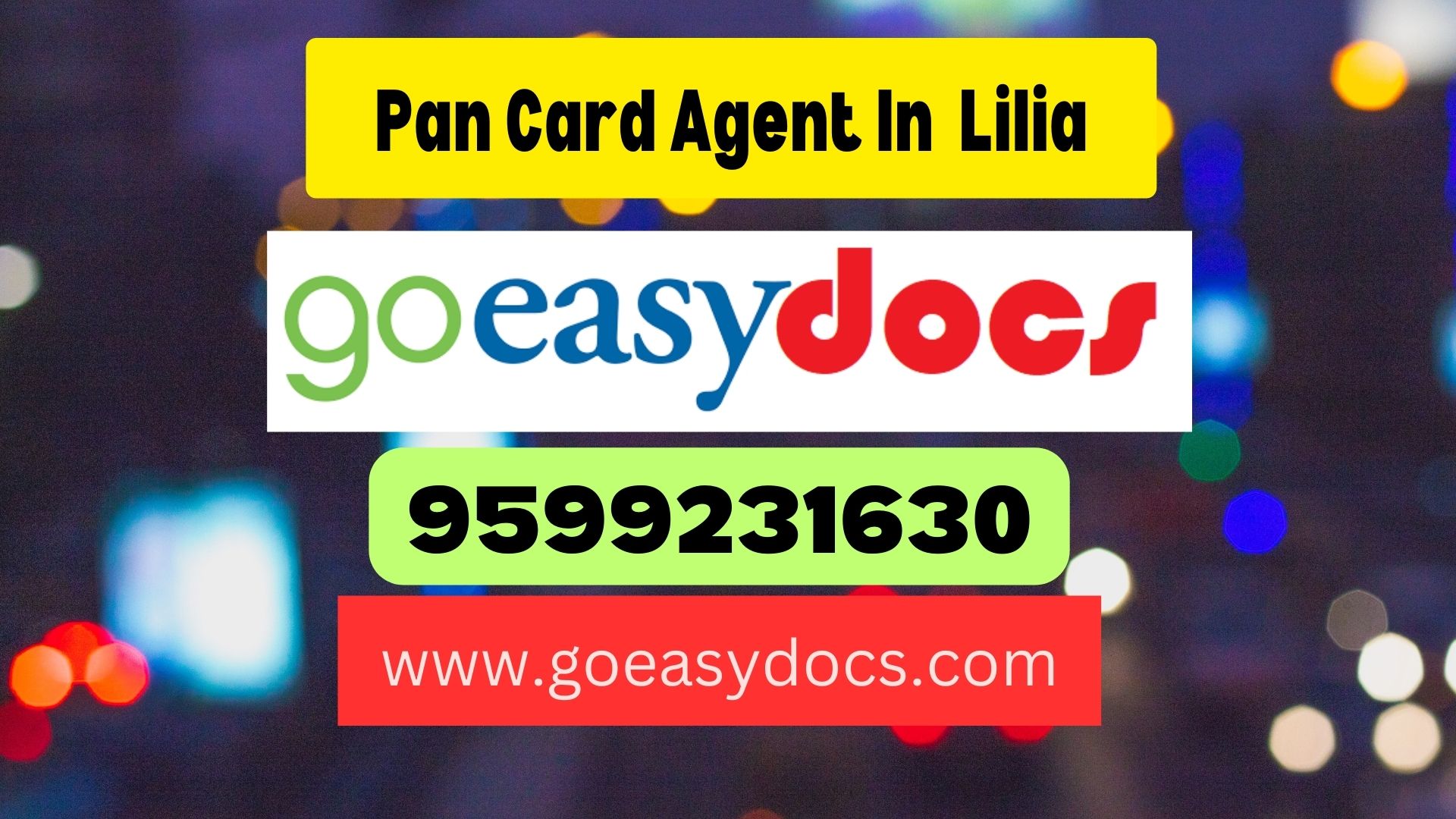 Pan Card Agent Consultant in Lilia 8851415812