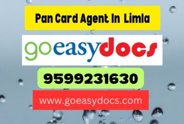 Pan Card Agent Consultant in Limla 8851415812