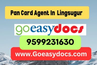 Pan Card Agent Consultant in Lingsugur  8851415812