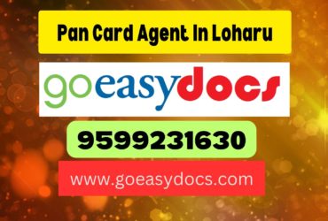 Pan Card Agent Consultant in Loharu 8851415812