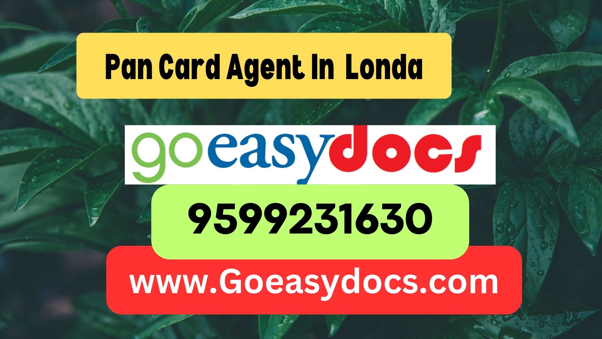 Pan Card Agent Consultant in Londa 8851415812