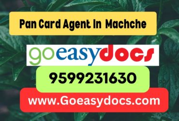 Pan Card Agent Consultant in Machche 8851415812