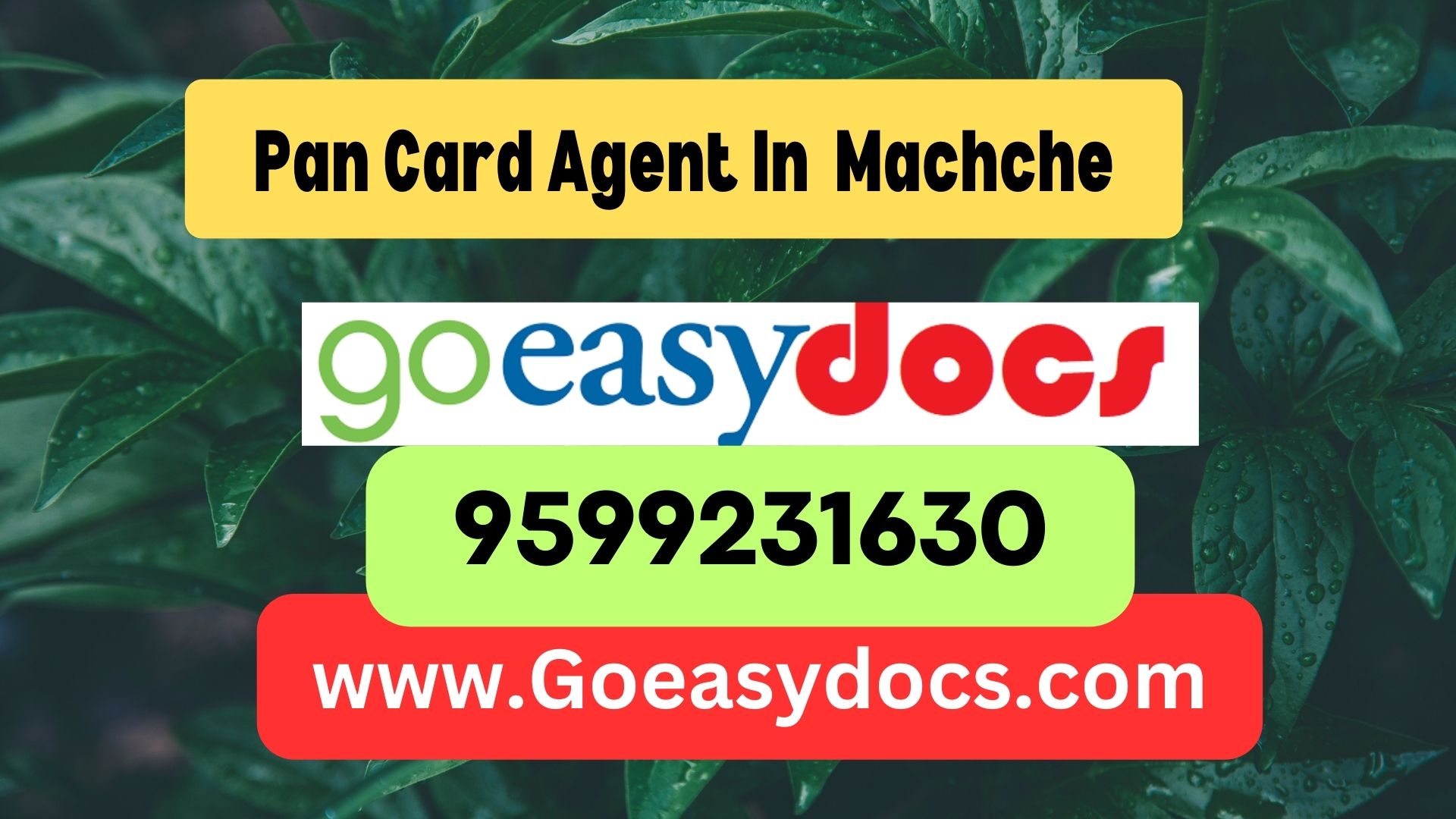 Pan Card Agent Consultant in Machche 8851415812