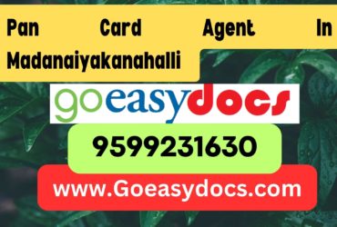 Pan Card Agent Consultant in Madanaiyakanahalli 8851415812