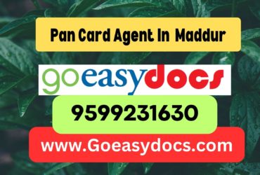 Pan Card Agent Consultant in Maddur 8851415812