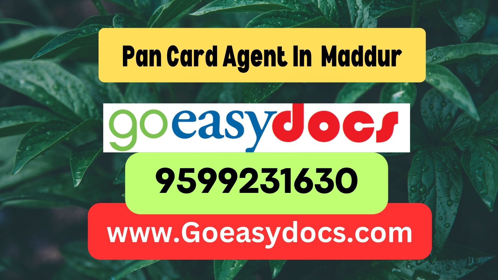 Pan Card Agent Consultant in Maddur 8851415812