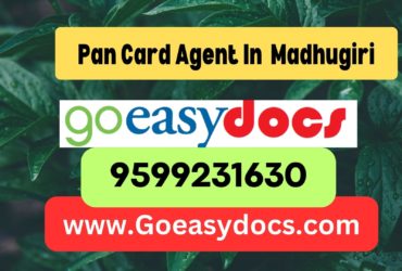 Pan Card Agent Consultant in Madhugiri 8851415812