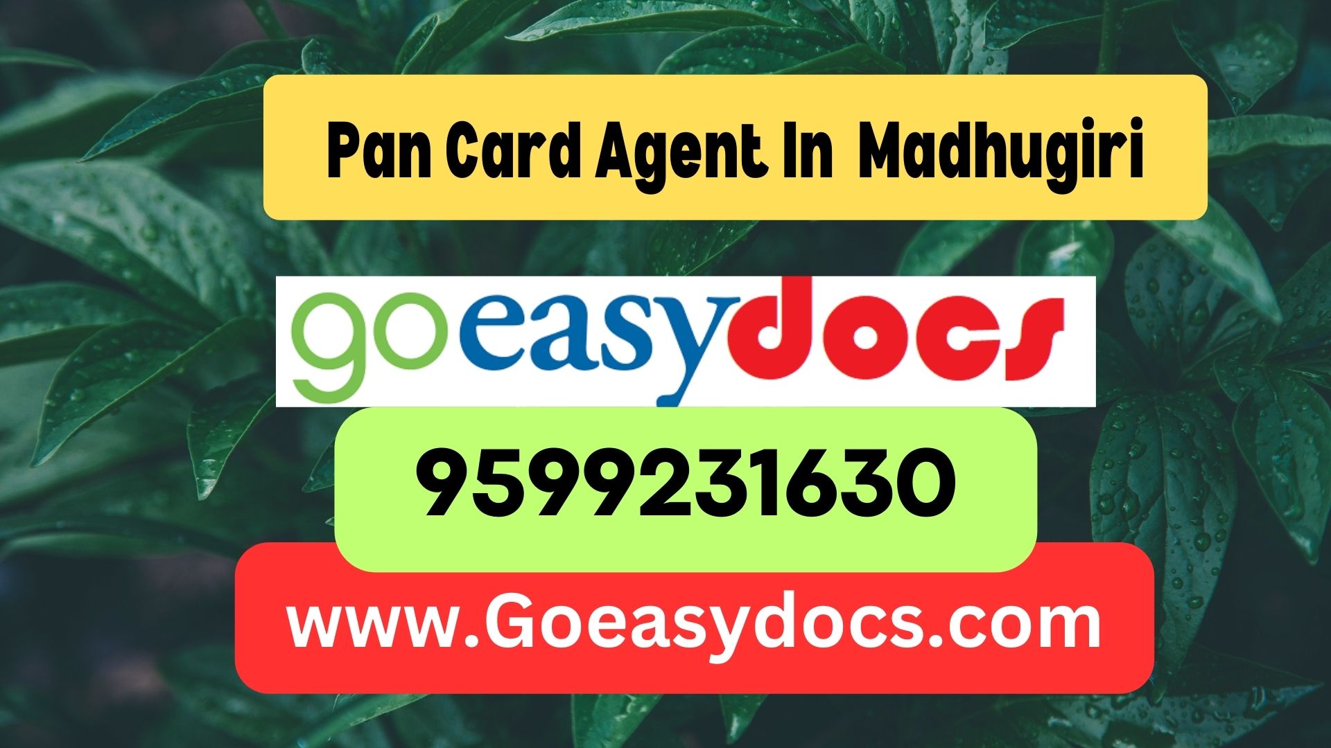 Pan Card Agent Consultant in Madhugiri 8851415812