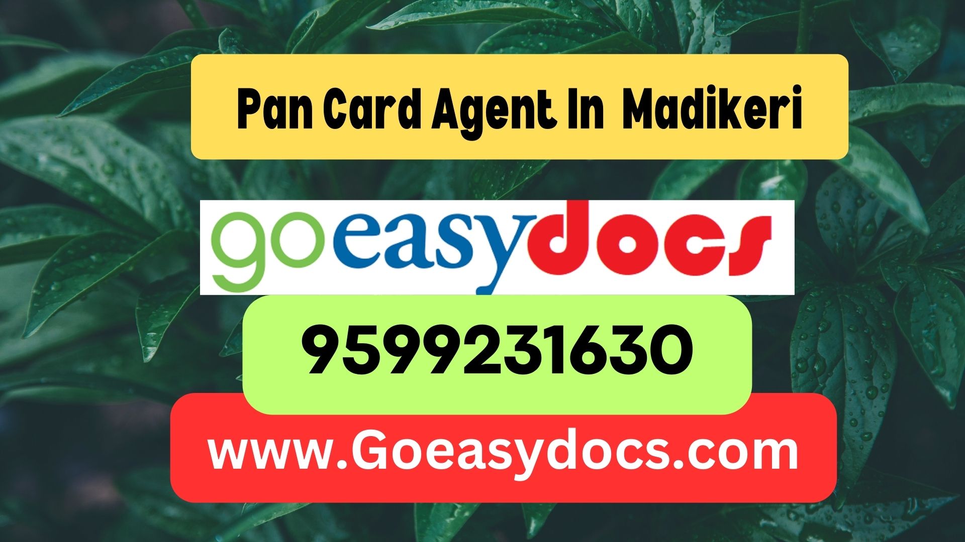 Pan Card Agent Consultant in Madikeri 8851415812