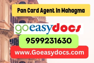 Pan Card Agent Consultant in Mahagma  8851415812