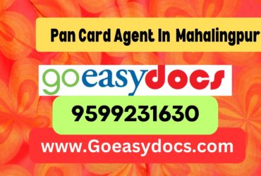 Pan Card Agent Consultant in Mahalingpur 8851415812