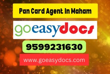 Pan Card Agent Consultant in Maham 8851415812