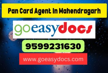 Pan Card Agent Consultant in Mahendragarh 8851415812