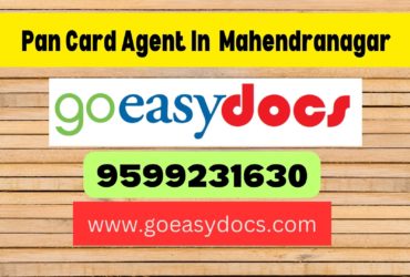 Pan Card Agent Consultant in Mahendranagar 8851415812