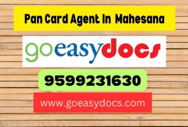 Pan Card Agent Consultant in Mahesana (Mehsana) 8851415812