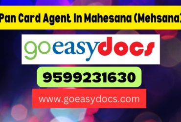 Pan Card Agent Consultant in Mahesana (Mehsana) 8851415812