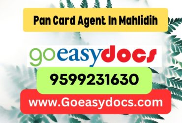 Pan Card Agent Consultant in Mahlidih 8851415812