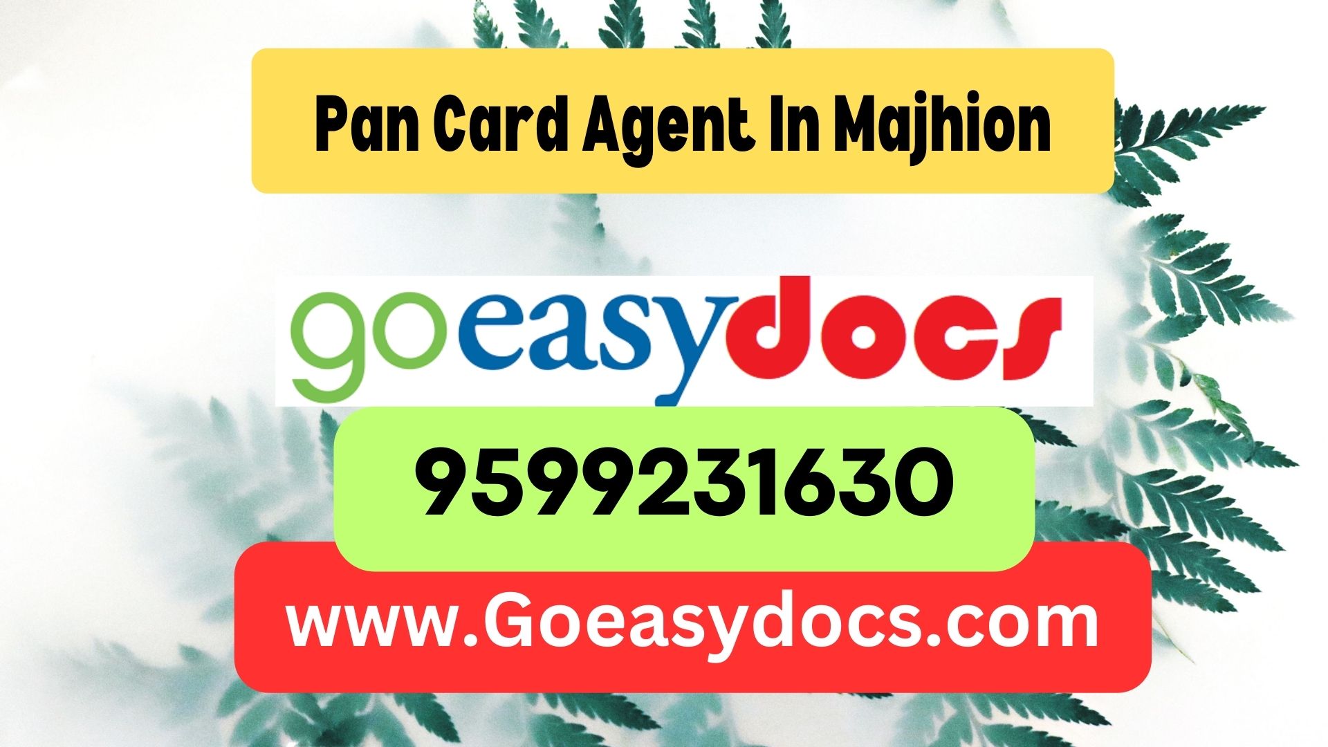 Pan Card Agent Consultant in Majhion 8851415812